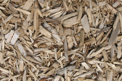 biomass boilers Northbourne